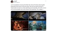 Fans found that V looked like Peter Pan in the music video. (Image via X/ @scoutlynch)